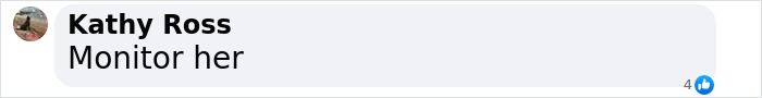 Facebook comment reading 'Monitor her' related to toddlers wandering incident. Facebook comment reading 'Monitor her' related to toddlers wandering incident.