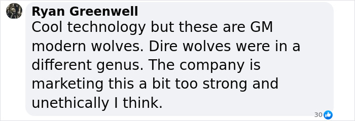 Chat screenshot discussing ethical debate over "Game of Thrones" dire wolves' resurrection.