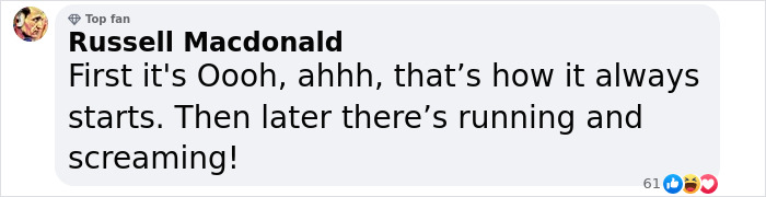 Fan comment referencing dire wolves and ethical debate from Game of Thrones.