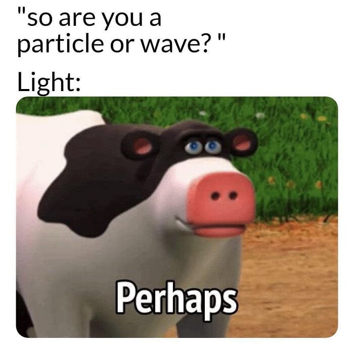 A funny physics meme showing a cow-like character responding with "Perhaps" to a question about light as a particle or wave.