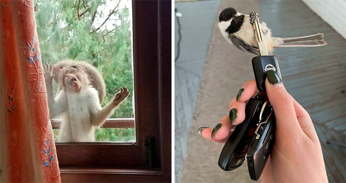 50 Times People Were Glad They Took A Pic Because The Story Would Have Been Unbelievable (New Pics)