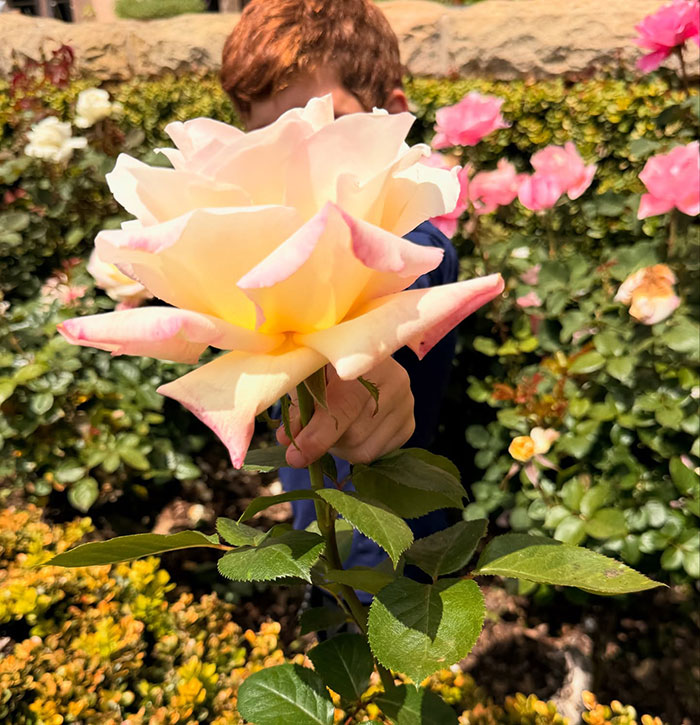 Child holding a yellow-pink flower in a garden, face partially obscured by the bloom.