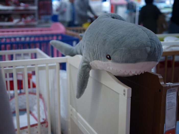 Plush shark on a crib in a store, enhancing quality of life improvement with cozy nursery decor.