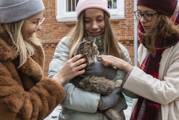 Three women petting a cat outdoors for quality life improvement.