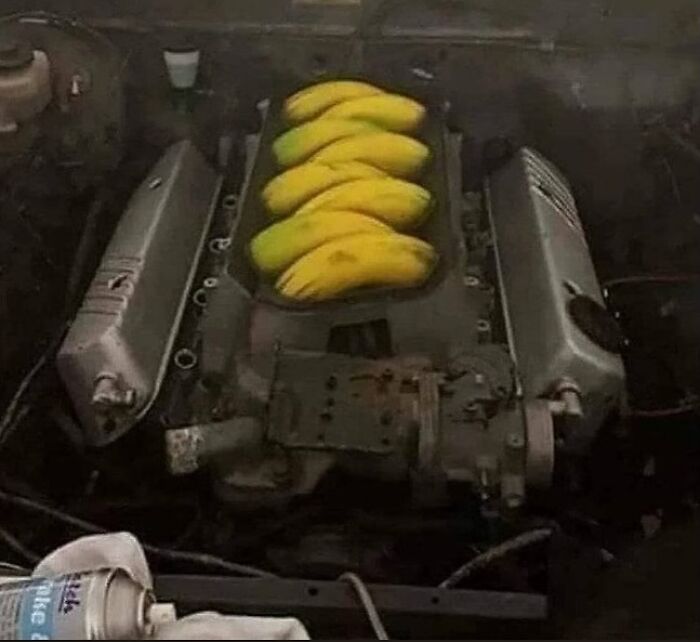 Bananas humorously placed in an engine bay, showcasing a funny and random image from Instagram accounts.