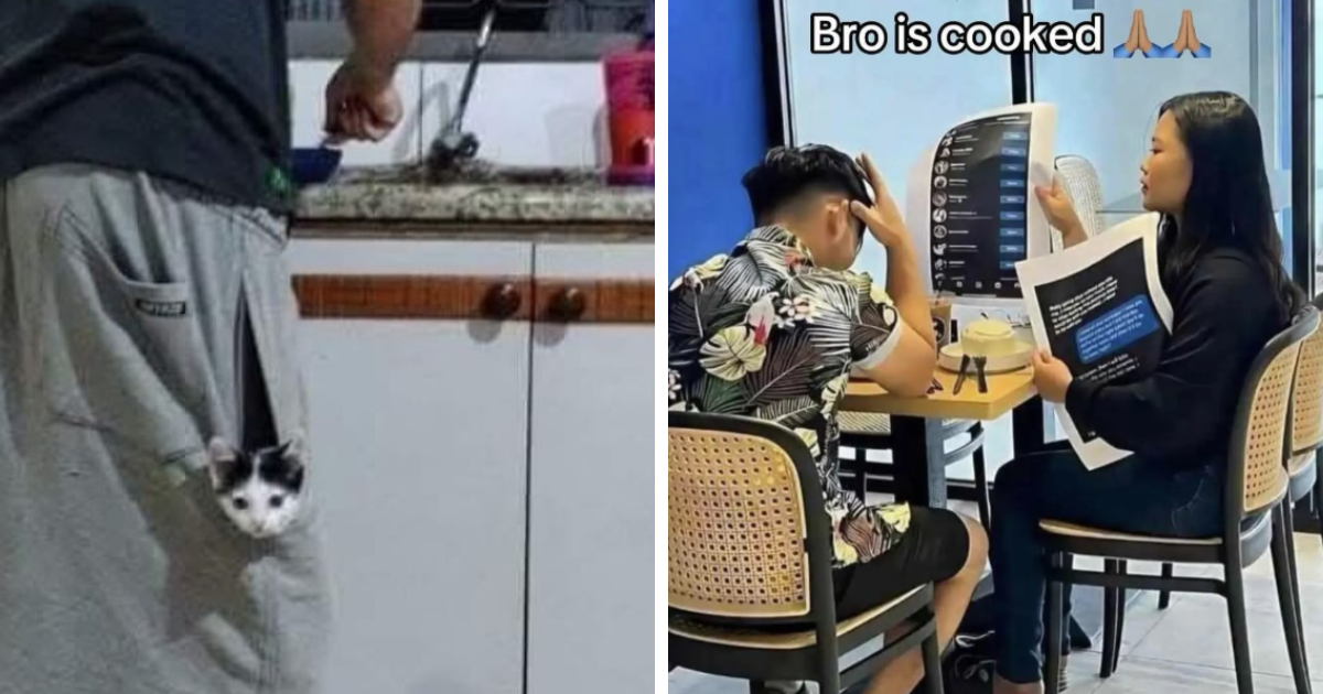 30 Random Images That Don’t Need To Make Sense To Be Funny