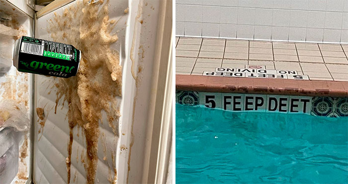 50 Wholesome Pics That Might Sprinkle Some Unexpected Joy Into Your Life (New Pics)