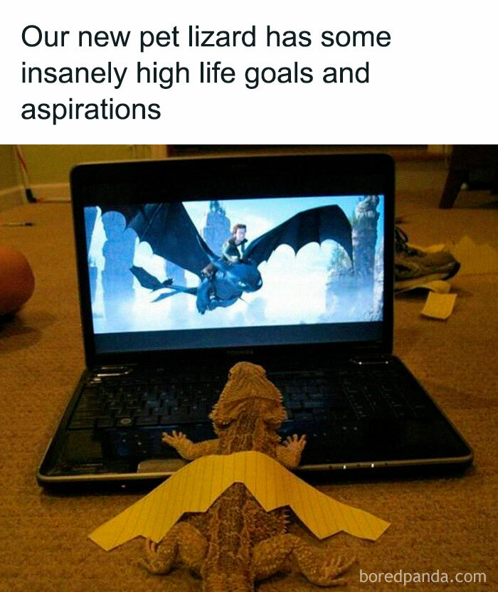 Lizard with a paper cape watches a dragon movie on a laptop, embodying relatable meme humor.