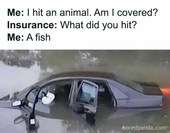 Car submerged in water with humorous text about insurance and hitting a fish; random relatable meme.