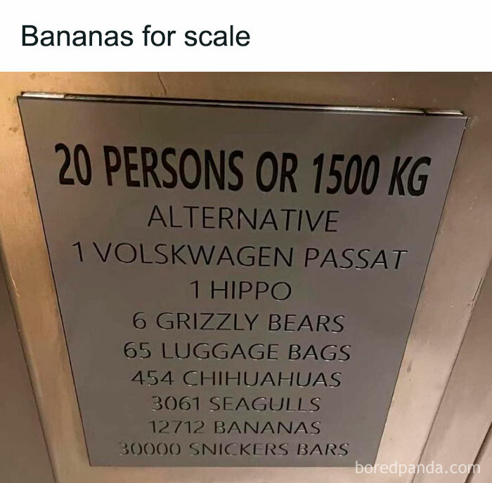 Funny sign comparing weights with random and relatable items like bananas and hippos.