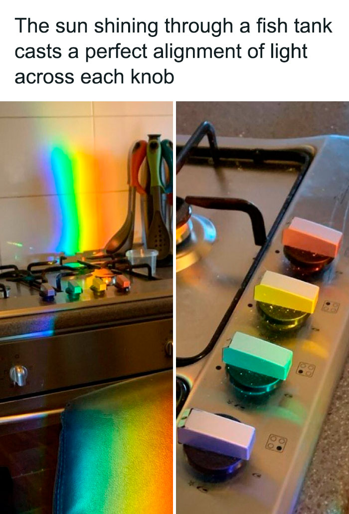 Sunlight through a fish tank creates a rainbow on stove knobs, making it look like random and relatable memes.