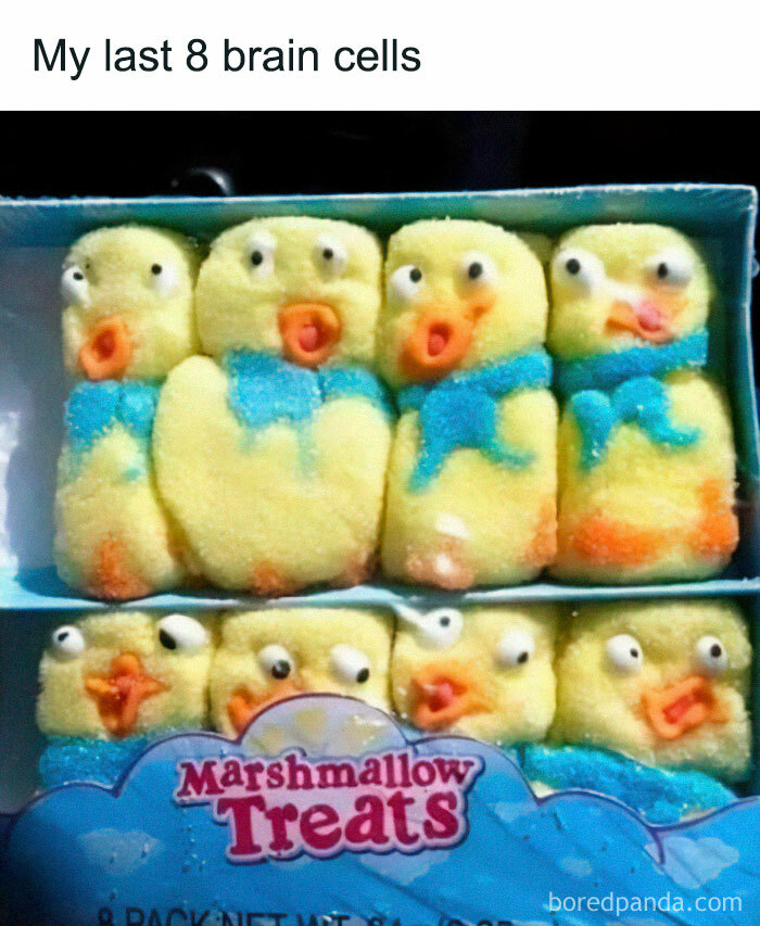 Box of marshmallow chicks, captioned with the relatable meme "My last 8 brain cells."