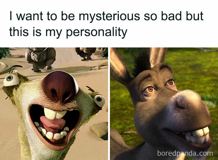 Two animated characters with funny expressions illustrating relatable meme humor.