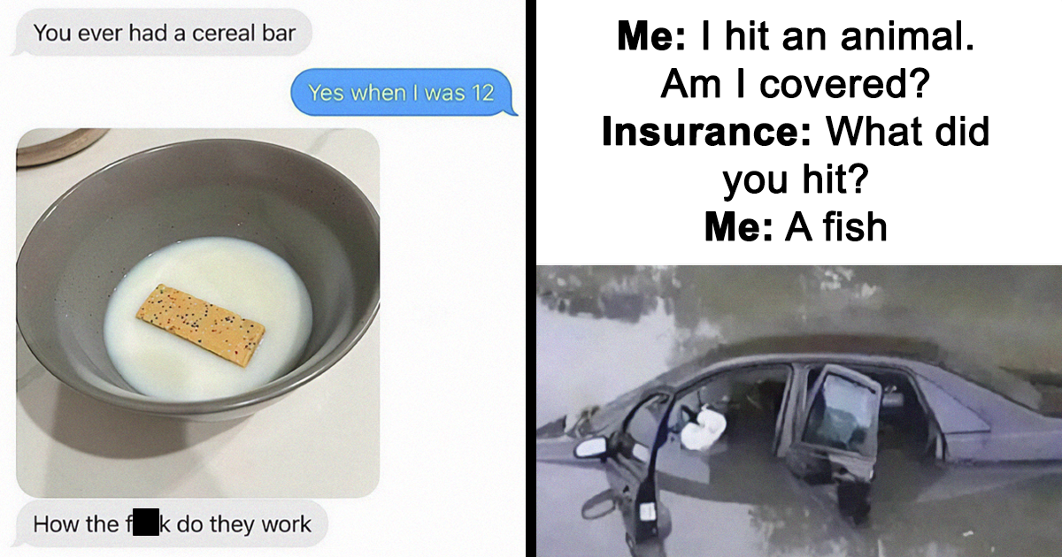 Random Mene 50 Random And Relatable Memes That Might Make You Laugh (New Pics ...
