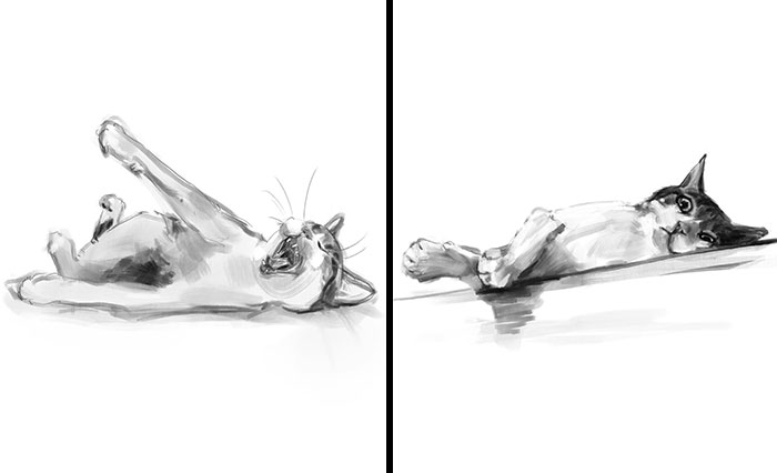 19 Minimalist Sketches By Jinodae That Capture The Essence Of Cats