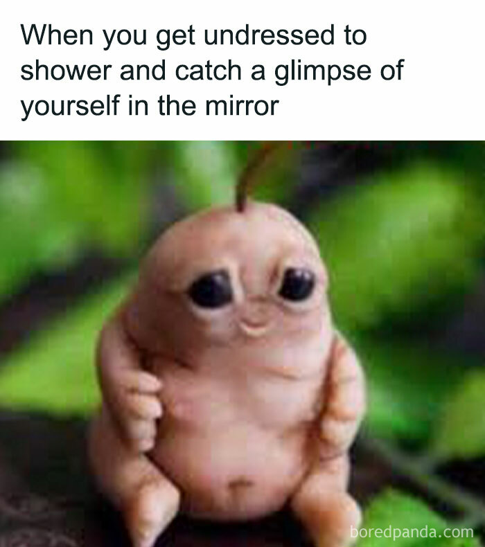 Cute plush creature reflecting relatable meme moment of self-awareness.