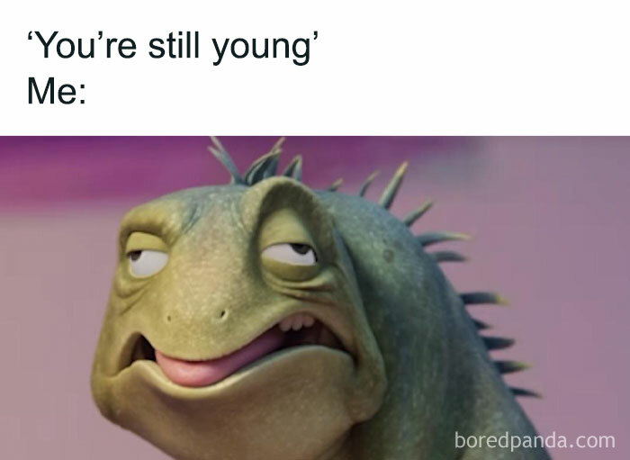Grumpy chameleon reacting to being called young, capturing a relatable meme moment.