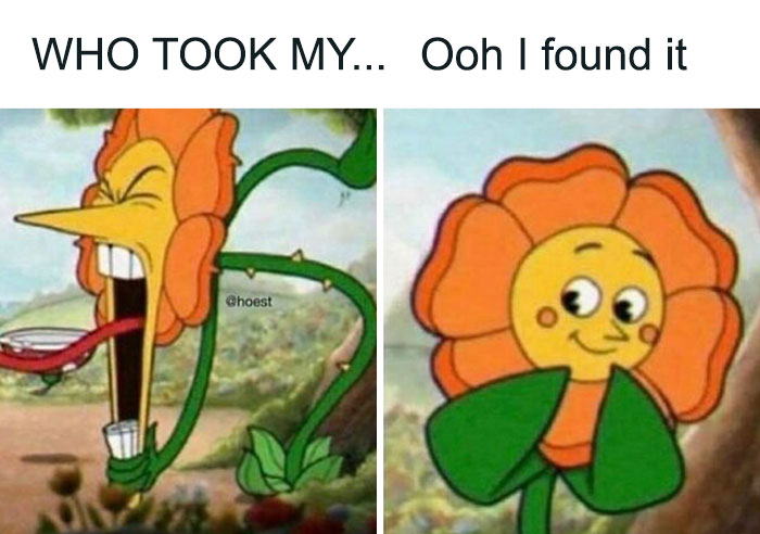 Flower cartoon meme showing a dramatic reaction and then relief, illustrating a relatable mix-up scenario.