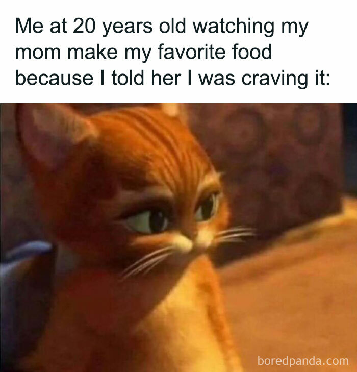 Cute cat with a pouty face, capturing a painfully relatable moment of longing and anticipation.