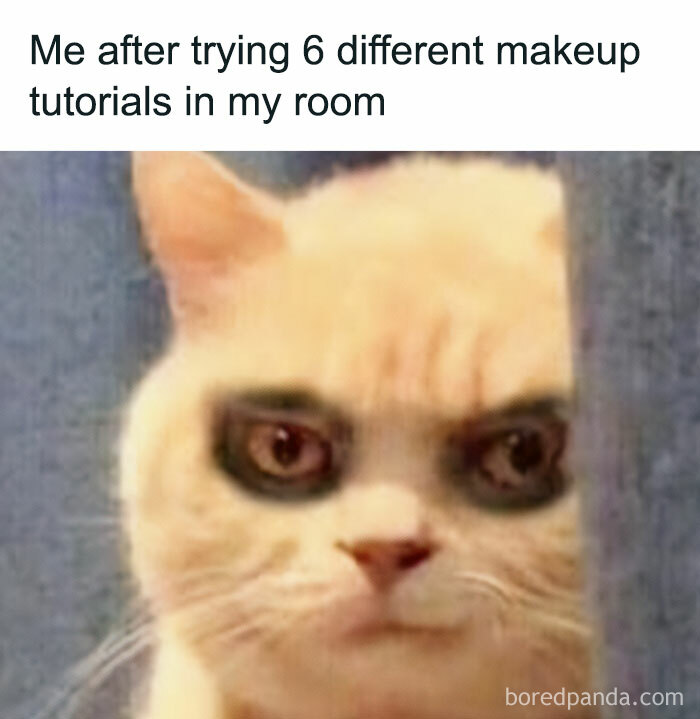 Cat with dark eye makeup, mimicking a relatable expression after makeup tutorials.