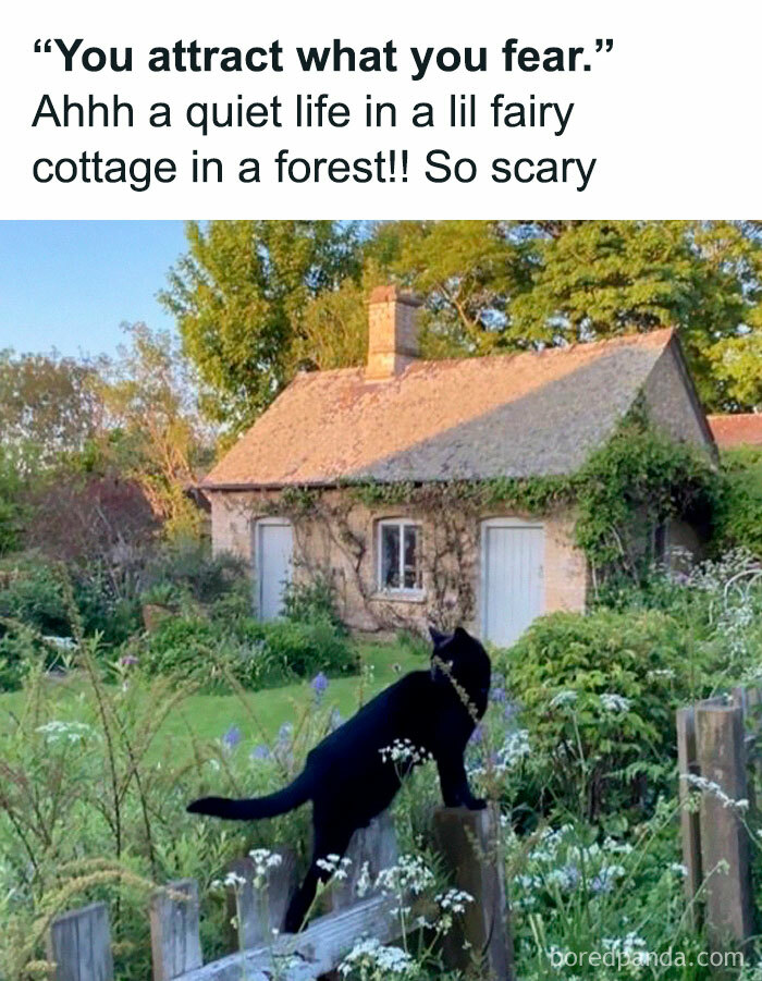 Black cat in a garden with a cottage in the background, capturing introvert humor and the desire for a quiet life.