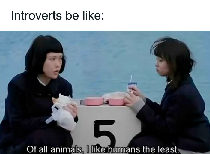 Two introverts sitting and eating, with a text overlay expressing a humorous take on social exhaustion.