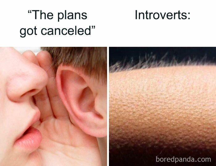 Close-up of someone whispering to an ear and goosebumps on skin, humorously depicting introverts' relief at canceled plans.