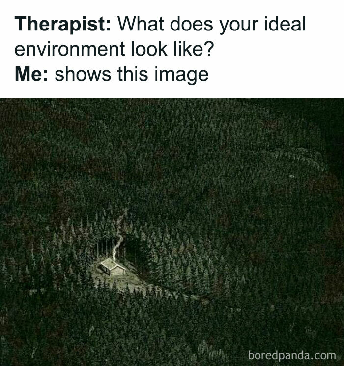 Cabin in a forest, showcasing introverts' ideal environment, captioned as a response to therapist's question.