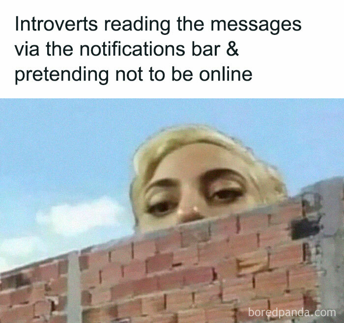 Introvert meme: Person peeking over wall, text about reading messages without appearing online.