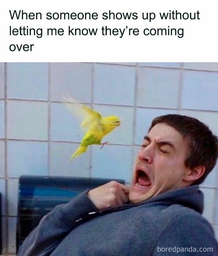 Man reacting in shock as a bird flies near his face, symbolizing introvert's nightmare of unexpected social interactions.
