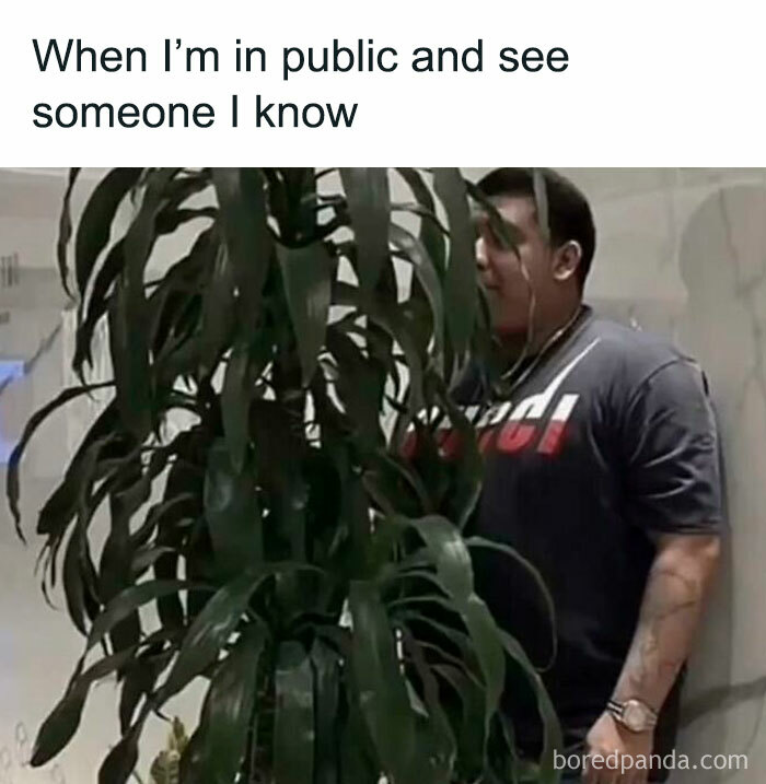 Person hiding behind a plant in public, humorously capturing introverts feeling socially exhausted.