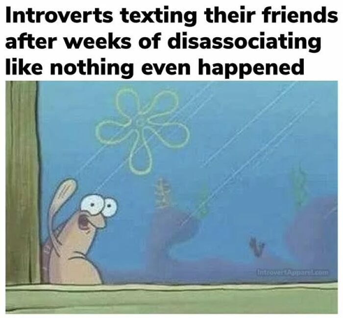 Introvert meme with a fish character staring out, capturing the social exhaustion and disassociation humor.