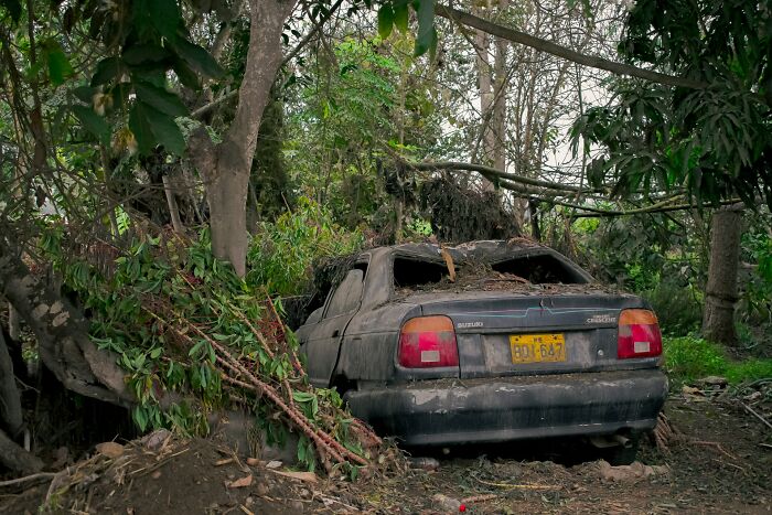 Abandoned damaged car surrounded by dense trees and foliage, evoking a scene first responders might remember.