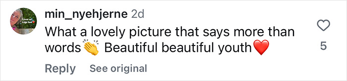 Comment praising a royal princess portrait, emphasizing its beauty and emotional impact.