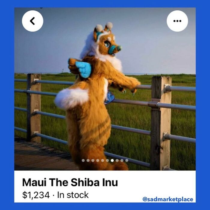 Person in a Shiba Inu costume on a boardwalk, an example of random listings on Facebook Marketplace.