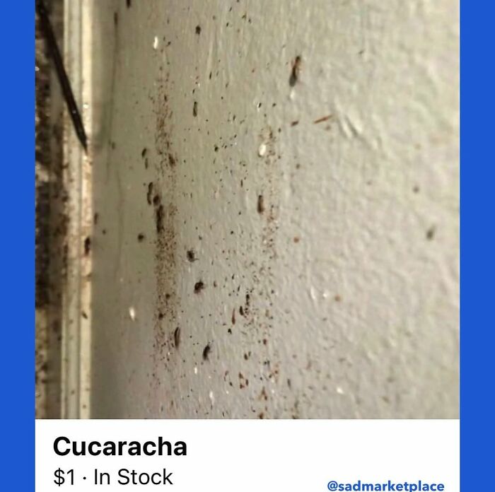Random Facebook Marketplace listing showing wall dirt labeled as "Cucaracha" for $1.