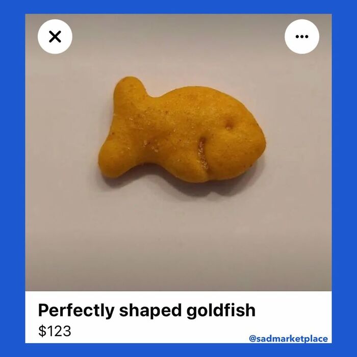A goldfish-shaped cracker listed for $123 on Facebook Marketplace.