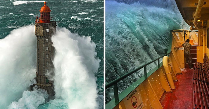 50 Unexpected Ocean Moments That Might Freak You Out