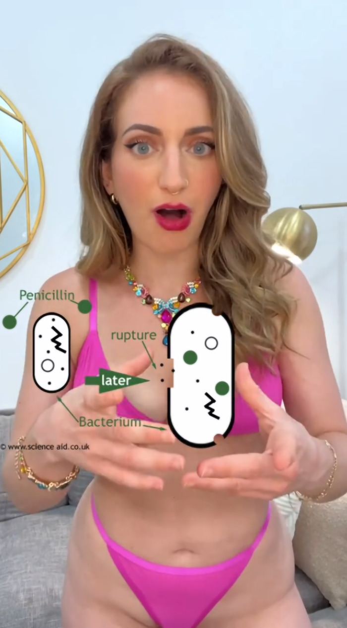 Neuroscientist illustrates bacteria and penicillin effects in a vibrant educational video setting. Neuroscientist illustrates bacteria and penicillin effects in a vibrant educational video setting.