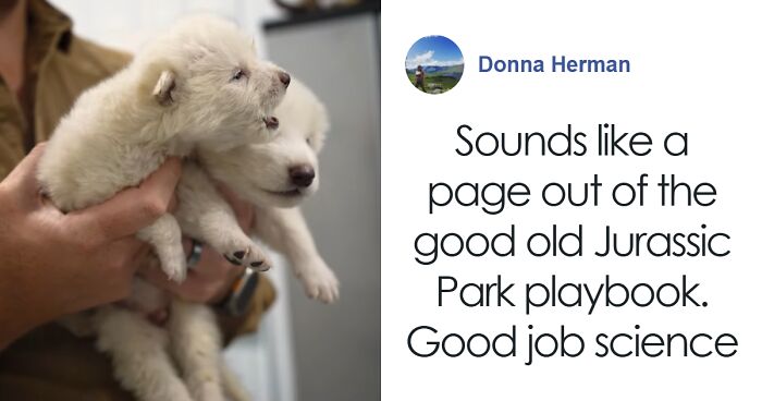 “Bad Idea”: People React To Dire Wolves Brought Back To Life 10,000 Years After They Went Extinct