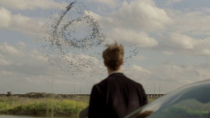 Person watching a swirl of birds in the sky, representing a show that remains a 10/10 throughout.