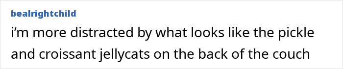 Text comment on a social media post about pickle and croissant jellycats on a couch.