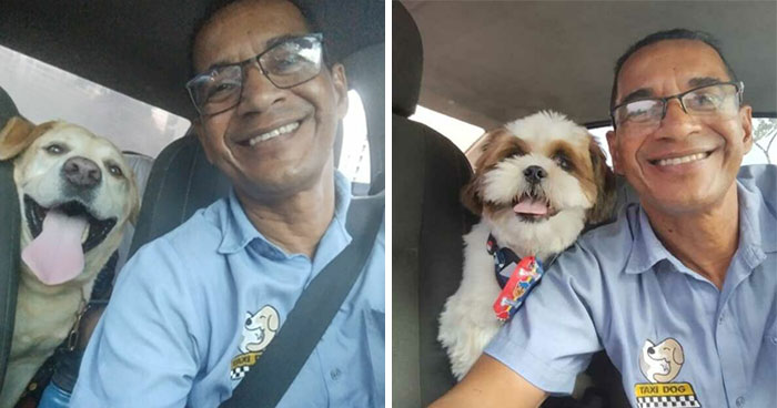 33 Times This “Pet Taxi” Driver Has Taken Cute Selfies With His Furry Customers (New Pics)
