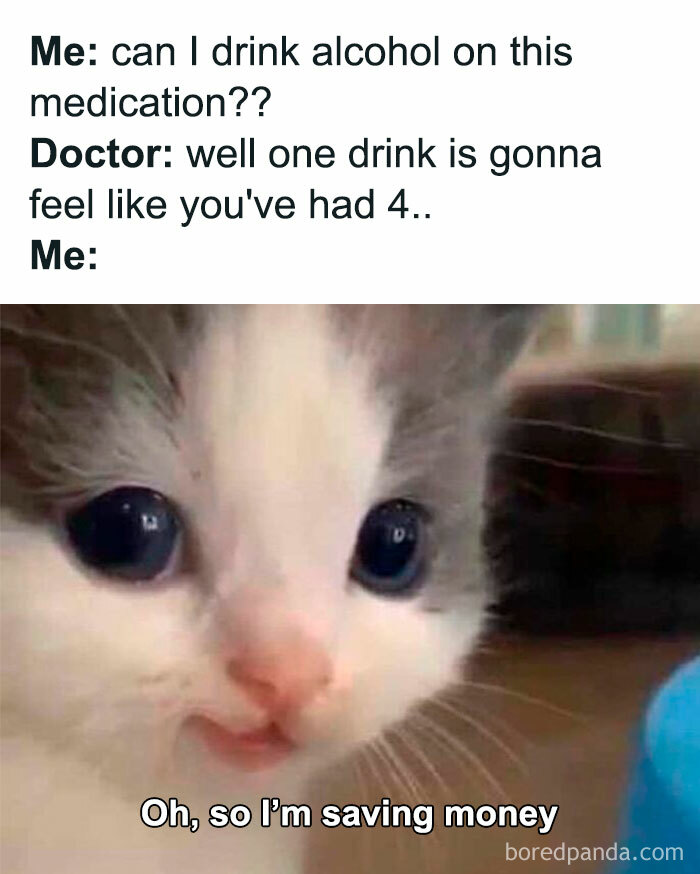 Close-up of a kitten’s face with a funny caption, a humorous example of random shower thoughts shared on Instagram.