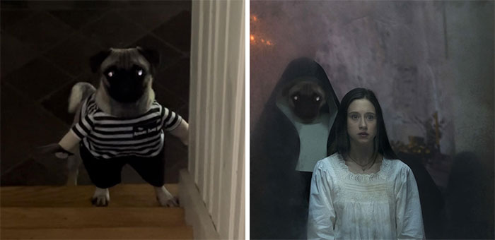 Pug photo edit creates humorous scene with person dressed as nun in eerie setting.