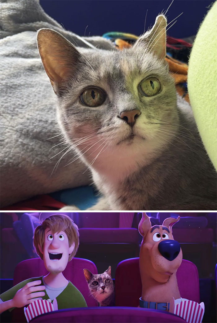 Cat joins animated characters in a movie scene after photo edits for a humorous touch.