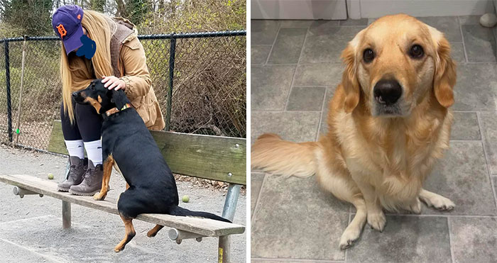 50 People Who Don’t Know What’s Wrong With Their Dogs But Love Them Nonetheless (New Pics)