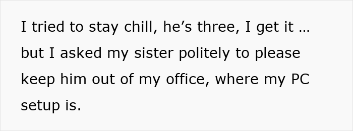 Text about hosting issues with sister, nephew, and PC setup in office.