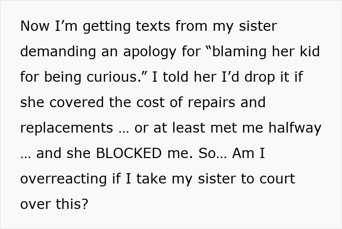 Text screenshot about a woman's regret hosting sister due to $2,000 damages and family drama.