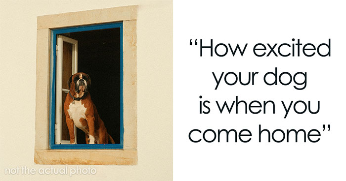 27 Small Joys People Forget To Appreciate, According To Our Community